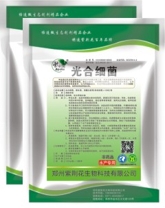 光合細菌
