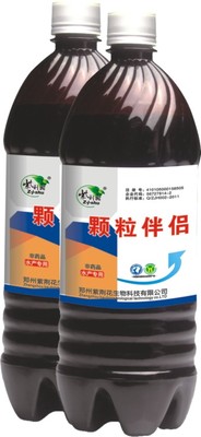 顆粒伴侶